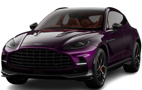 Storm Purple