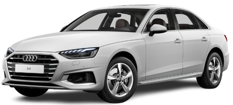 Ibis White