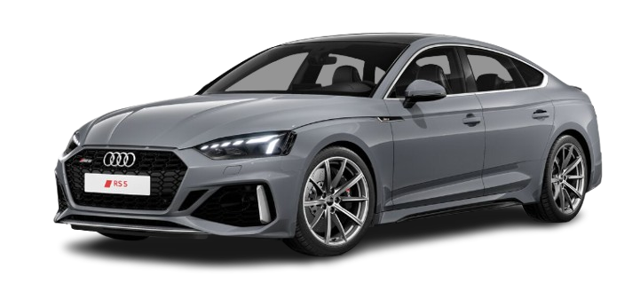 nardo-gray image