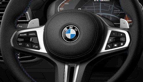 Paddle Shifters