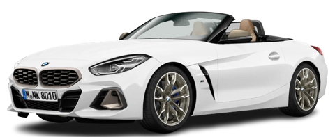 Alpine White