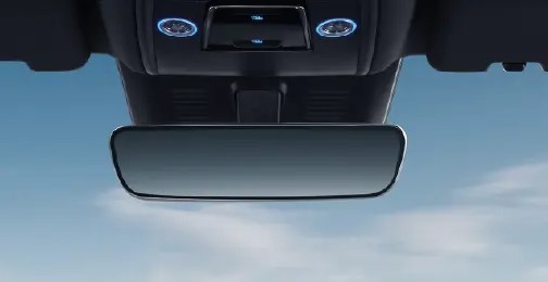 IRVM
