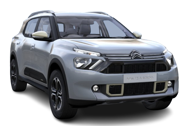 steel-grey-with-platinum-grey-roof image