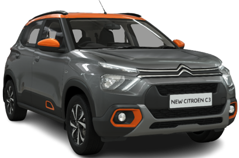 Platinum Grey With Orange Roof
