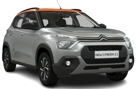 Steel Grey With Orange Roof