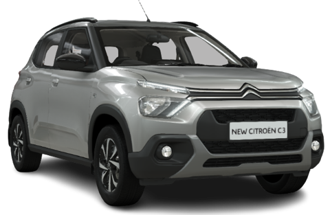 Steel Grey With Platinum Grey Roof