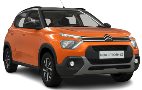 Zesty Orange With Grey Roof