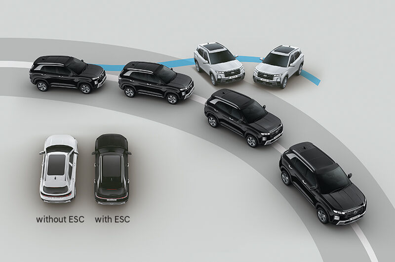 ESP (Electronic Stability Program)