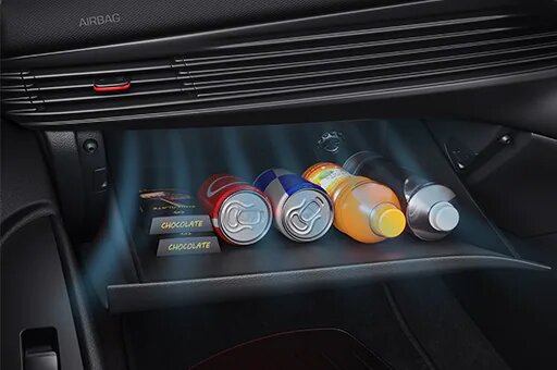 Cooling Glove Box