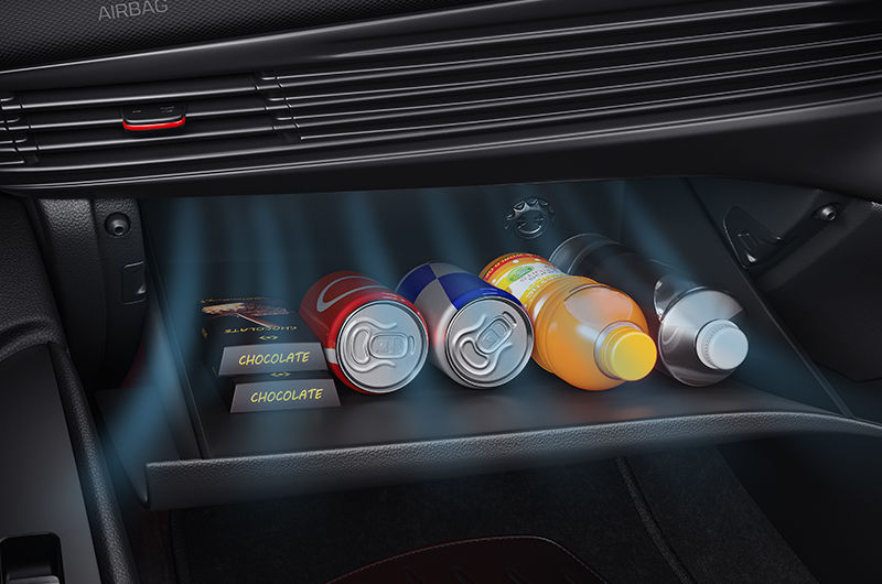 Cooling Glove Box