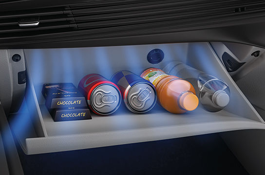 Cooling Glove Box