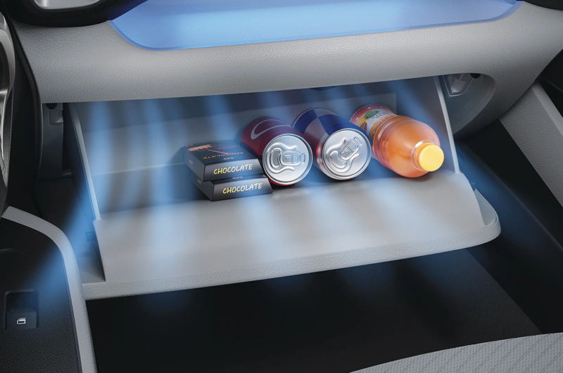 Cooling Glove Box