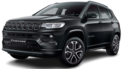 Brilliant Black With Grey Roof