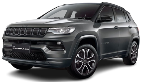 Magnesio Grey With Black Roof