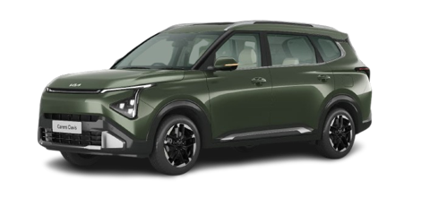 Pewter Olive