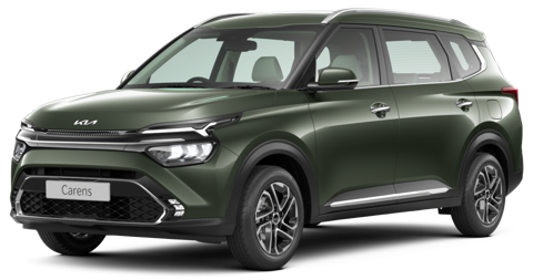 Pewter Olive