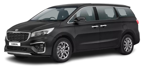 Aurora Black Pearl