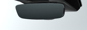 IRVM