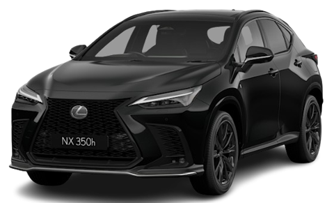 Graphite Black Glass Flake
