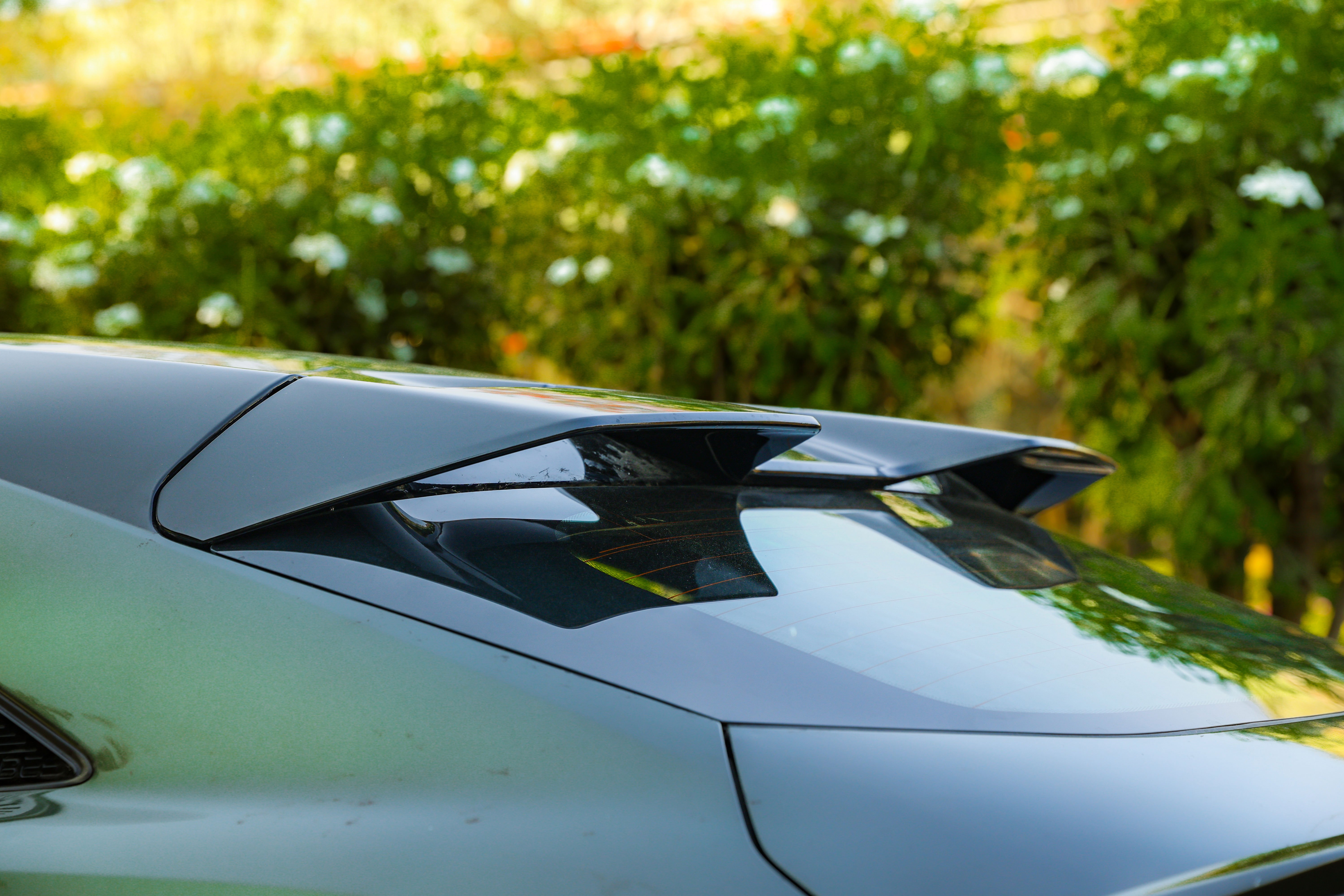 Rear Spoiler