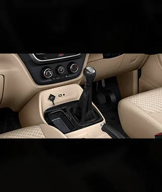 Manual Transmission Type