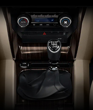 Manual Transmission Type