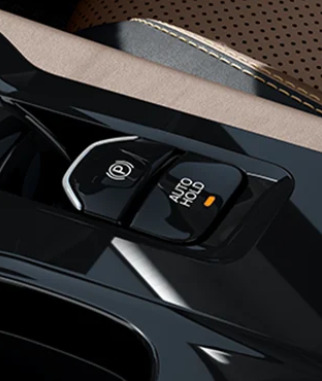 ESP (Electronic Stability Program)