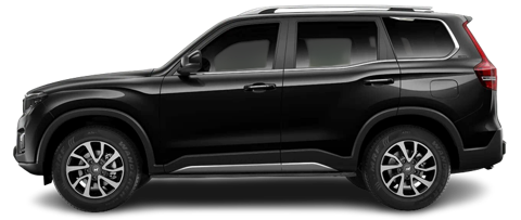 Stealth Black