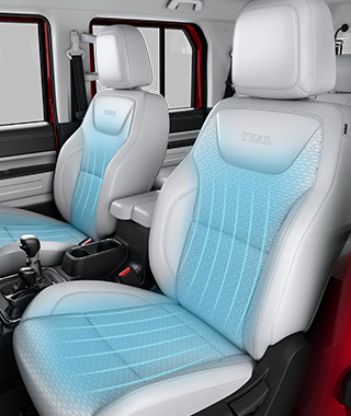 Power Seats