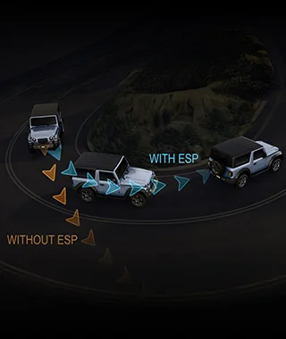 ESP (Electronic Stability Program)