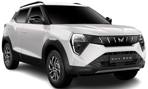 Everest White