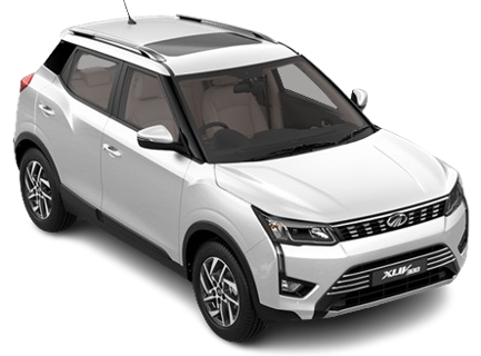 Everest White