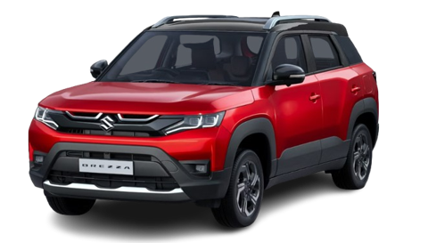Sizzling Red With Bluish Black Roof