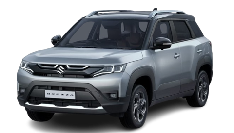 Splendid Silver with Bluish Black Roof