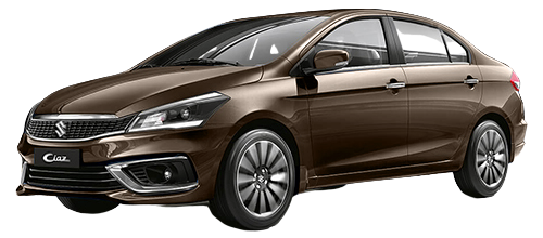 pearl-metallic-dignity-brown-and-black image