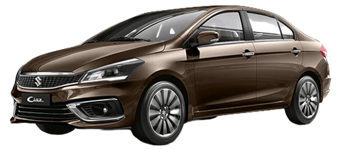 Pearl Metallic Dignity Brown
