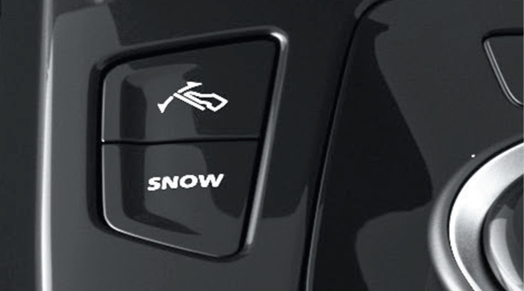 Paddle Shifters