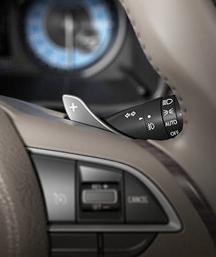 Paddle Shifters