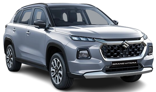 splendid-silver-with-black-roof image