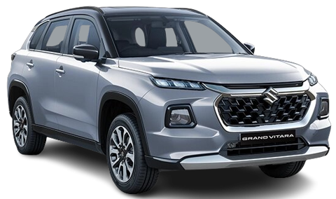 Splendid Silver With Black Roof