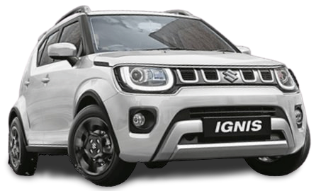 pearl-arctic-white image