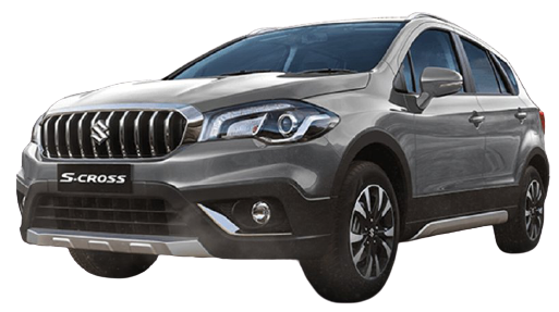 premium-silver image