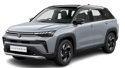 Splendid Silver with Bluish Black Roof