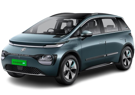 Windsor EV