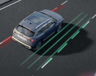LDW (Lane Departure Warning)