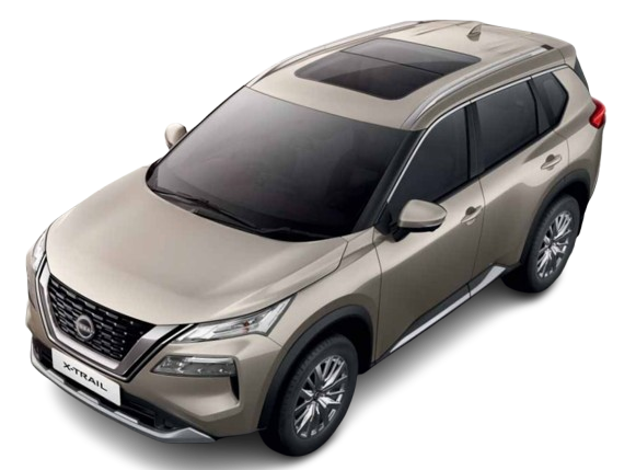 champagne-silver image