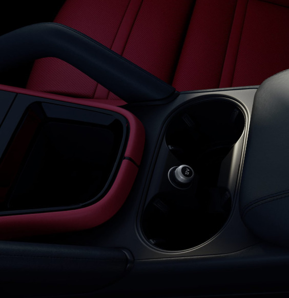 Cup Holders