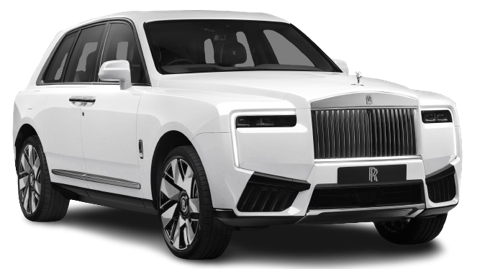 Arctic White