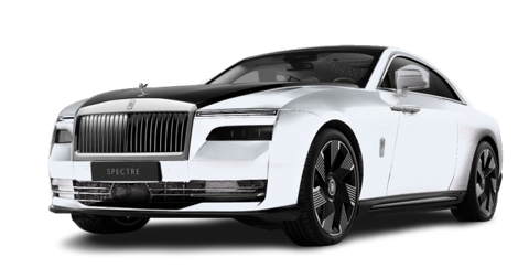 Arctic White