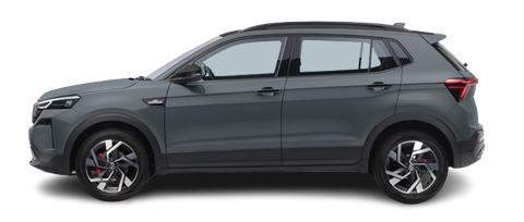 Steel Grey with Black Roof